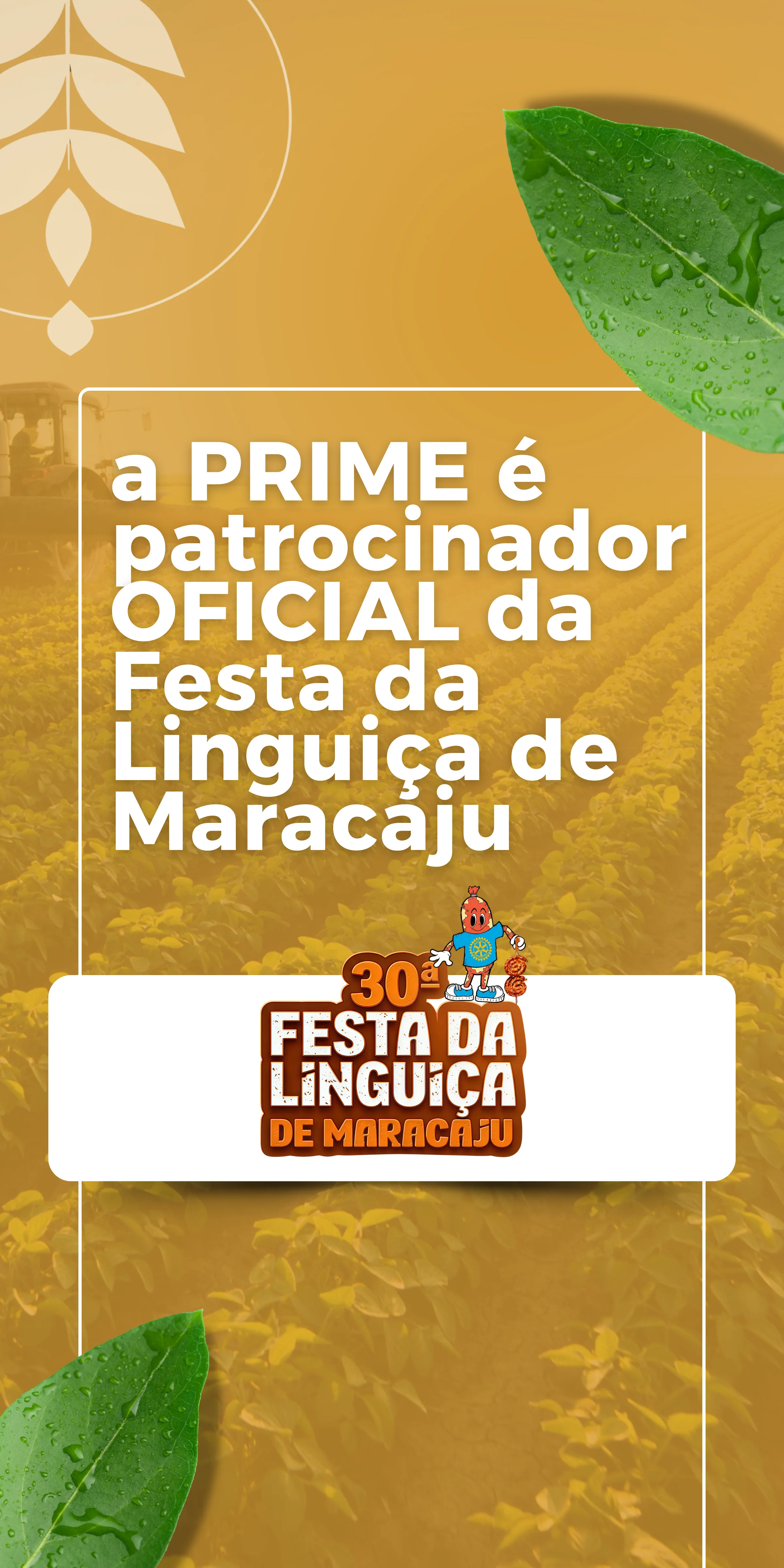 Patrocinio FarmDay