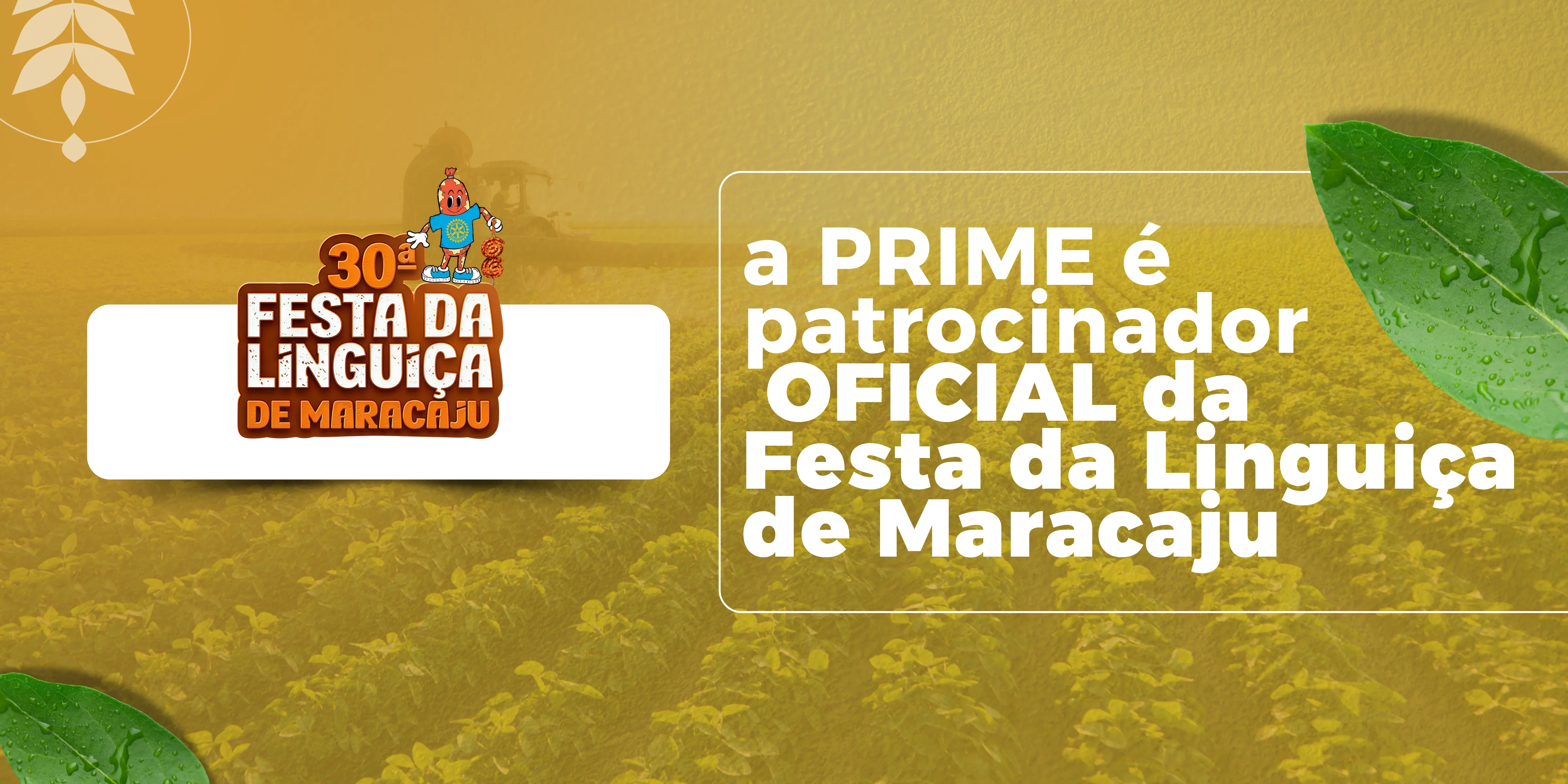 Patrocinio FarmDay